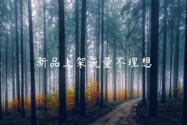 新品上架流量不理想 新品上架流量不理想